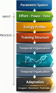 Ergometic-Elements | Super Sport Systems